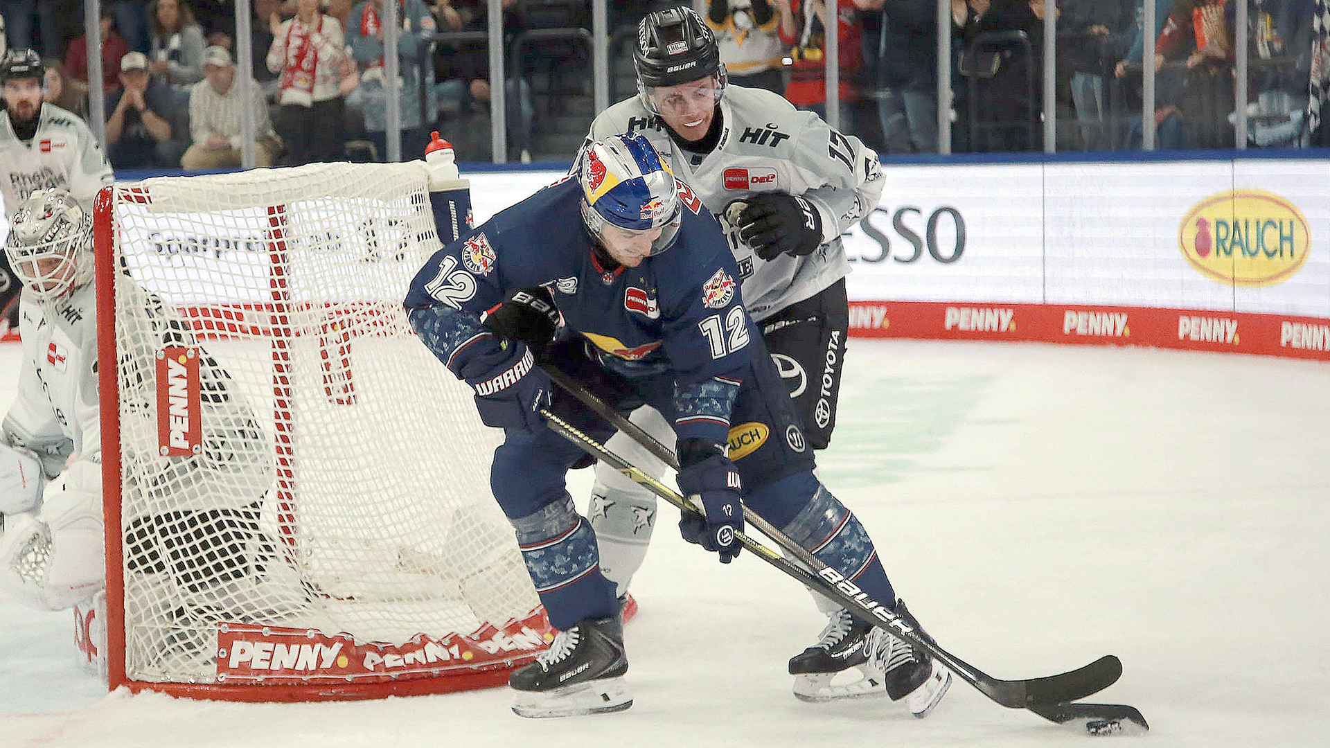 EHC Red Bull München gg. Kölner Haie